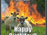 Cow Happy Birthday Meme Happy Birthday Cow Meme Best Happy Birthday Wishes