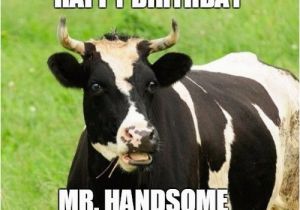 Cow Happy Birthday Meme Happy Birthday Husband Memes Wishesgreeting