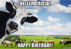 Cow Happy Birthday Meme Helli Patricia Happy Birthday Make A Meme