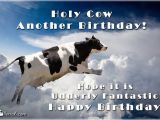Cow Happy Birthday Meme Holy Cow Another Birthday