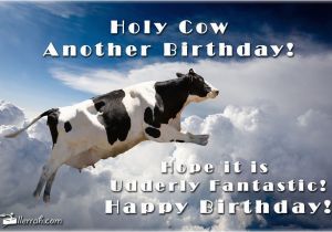 Cow Happy Birthday Meme Holy Cow Another Birthday