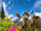 Cow Happy Birthday Meme Yodelling Birthday Cows Free for Best Friends Ecards