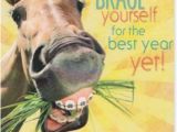 Cowgirl Birthday Card Sayings 17 Best Images About Happy Birthday On Pinterest