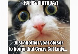 Crazy Happy Birthday Memes 20 Cat Birthday Memes that are Way too Adorable