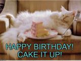 Crazy Lady Birthday Meme 20 Cat Birthday Memes that are Way too Adorable