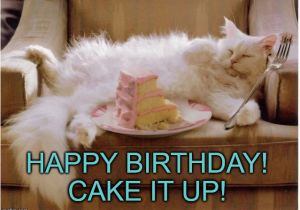 Crazy Lady Birthday Meme 20 Cat Birthday Memes that are Way too Adorable