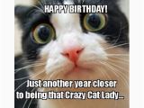 Crazy Lady Birthday Meme 20 Cat Birthday Memes that are Way too Adorable