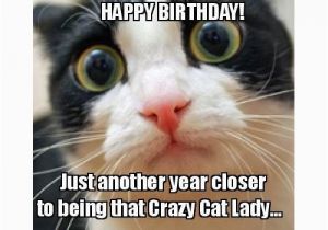 Crazy Lady Birthday Meme 20 Cat Birthday Memes that are Way too Adorable