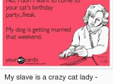 Crazy Lady Birthday Meme 25 Best Memes About Cat Birthday Cat Birthday Memes