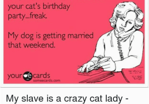Crazy Lady Birthday Meme 25 Best Memes About Cat Birthday Cat Birthday Memes