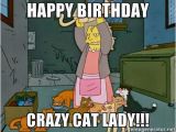 Crazy Lady Birthday Meme Best Happy Birthday Cat Meme