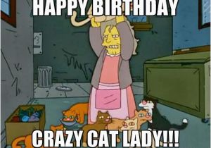 Crazy Lady Birthday Meme Best Happy Birthday Cat Meme