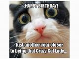 Crazy Lady Birthday Meme the 18 Best Happy Birthday Memes to Brighten someone 39 S Day