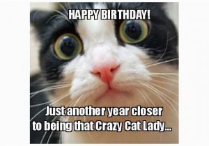 Crazy Lady Birthday Meme the 18 Best Happy Birthday Memes to Brighten someone 39 S Day