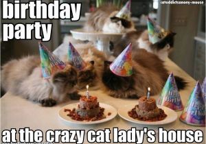 Crazy Lady Birthday Meme This is something My Best Friend Would Love Suzy Rose