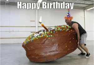 Crossfit Birthday Meme Best 25 Happy Birthday Cousin Meme Ideas On Pinterest