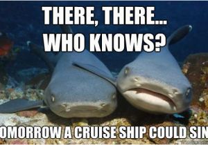 Cruise Ship Birthday Meme there there who Knows tomorrow A Cruise Ship Could