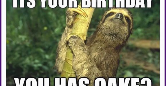 Cute Animal Birthday Meme Happy Birthday Memes with Funny Cats Dogs and Cute Animals