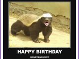 Cute Animal Birthday Meme Happy Birthday Memes with Funny Cats Dogs and Cute