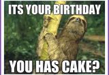 Cute Animal Happy Birthday Meme Happy Birthday Memes with Funny Cats Dogs and Cute Animals