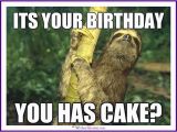 Cute Animal Happy Birthday Meme Happy Birthday Memes with Funny Cats Dogs and Cute Animals