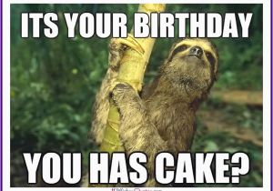 Cute Animal Happy Birthday Meme Happy Birthday Memes with Funny Cats Dogs and Cute Animals