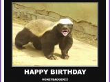 Cute Animal Happy Birthday Meme Happy Birthday Memes with Funny Cats Dogs and Cute Animals