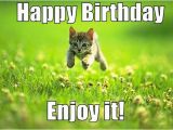 Cute Birthday Memes for Her Best Happy Birthday Cat Meme