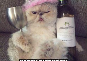 Cute Cat Birthday Meme 20 Cat Birthday Memes that are Way too Adorable