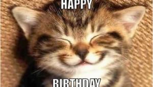 Cute Cat Birthday Meme 61 Funniest Happy Birthday Mom Meme