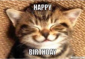 Cute Cat Birthday Meme 61 Funniest Happy Birthday Mom Meme