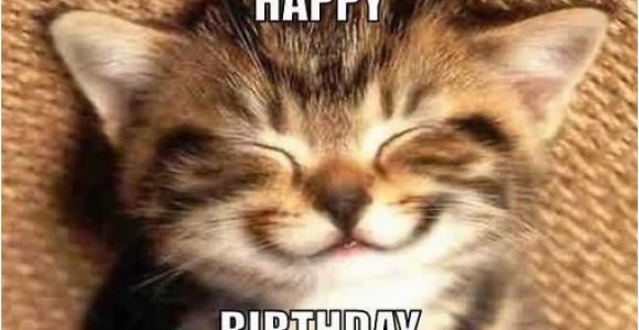 Cute Cat Birthday Meme 61 Funniest Happy Birthday Mom Meme