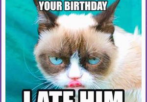 Cute Cat Birthday Meme Happy Birthday Memes with Funny Cats Dogs and Cute
