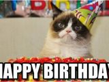 Cute Cat Birthday Meme Incredible Happy Birthday Memes for You top Collections
