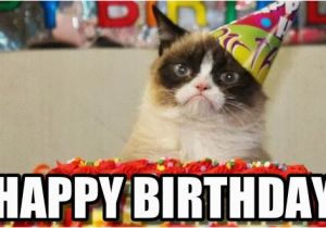 Cute Cat Birthday Meme Incredible Happy Birthday Memes for You top Collections