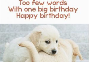 Cute Happy Birthday Quote 17 Best Images About Cute Happy Birthday Quotes and