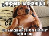 Dachshund Birthday Meme Best 25 Dachshund Meme Ideas On Pinterest Wiener Dogs