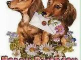 Dachshund Birthday Meme Birthday Dachshund Pinterest Birthdays Dachshunds