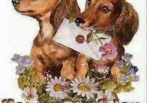 Dachshund Birthday Meme Birthday Dachshund Pinterest Birthdays Dachshunds