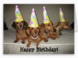 Dachshund Birthday Meme Dachshund Birthday Meme Google Search Birthday Cards