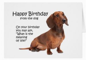 Dachshund Birthday Meme Funny Dachshund Birthday Card Zazzle