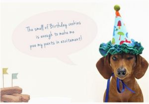 Dachshund Birthday Meme Happy Birthday Memes Dog Wishesgreeting
