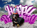 Dachshund Birthday Meme Teckel Dog Dachshund for Her Happy Birthday Youtube
