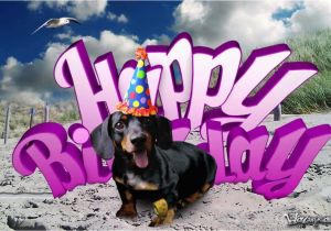 Dachshund Birthday Meme Teckel Dog Dachshund for Her Happy Birthday Youtube