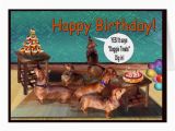 Dachshund Birthday Meme Weiner Dog Cake Cake Ideas and Designs