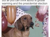Dachshund Happy Birthday Meme Best 25 Dachshund Meme Ideas On Pinterest Funny Puppies