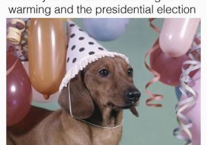 Dachshund Happy Birthday Meme Best 25 Dachshund Meme Ideas On Pinterest Funny Puppies