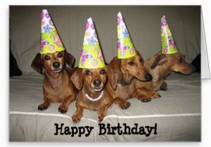 Dachshund Happy Birthday Meme Dachshund Birthday Meme Google Search Birthday Cards