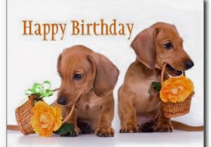 Dachshund Happy Birthday Meme Debbie913 the Stephenking Com Message Board