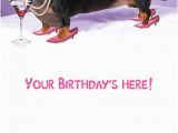Dachshund Happy Birthday Meme Funny Birthday Ecard Quot Hot Dog Quot From Cardfool Com